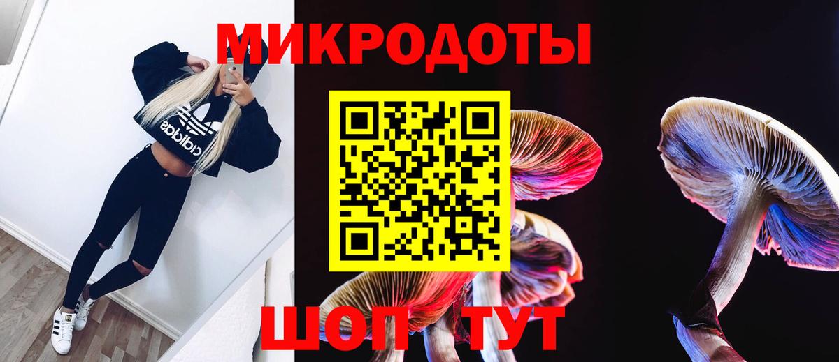 Псилоцибиновые грибы Psilocybe  Вход с VPN  Псилоцибиновые грибы мухоморы  Озёры 